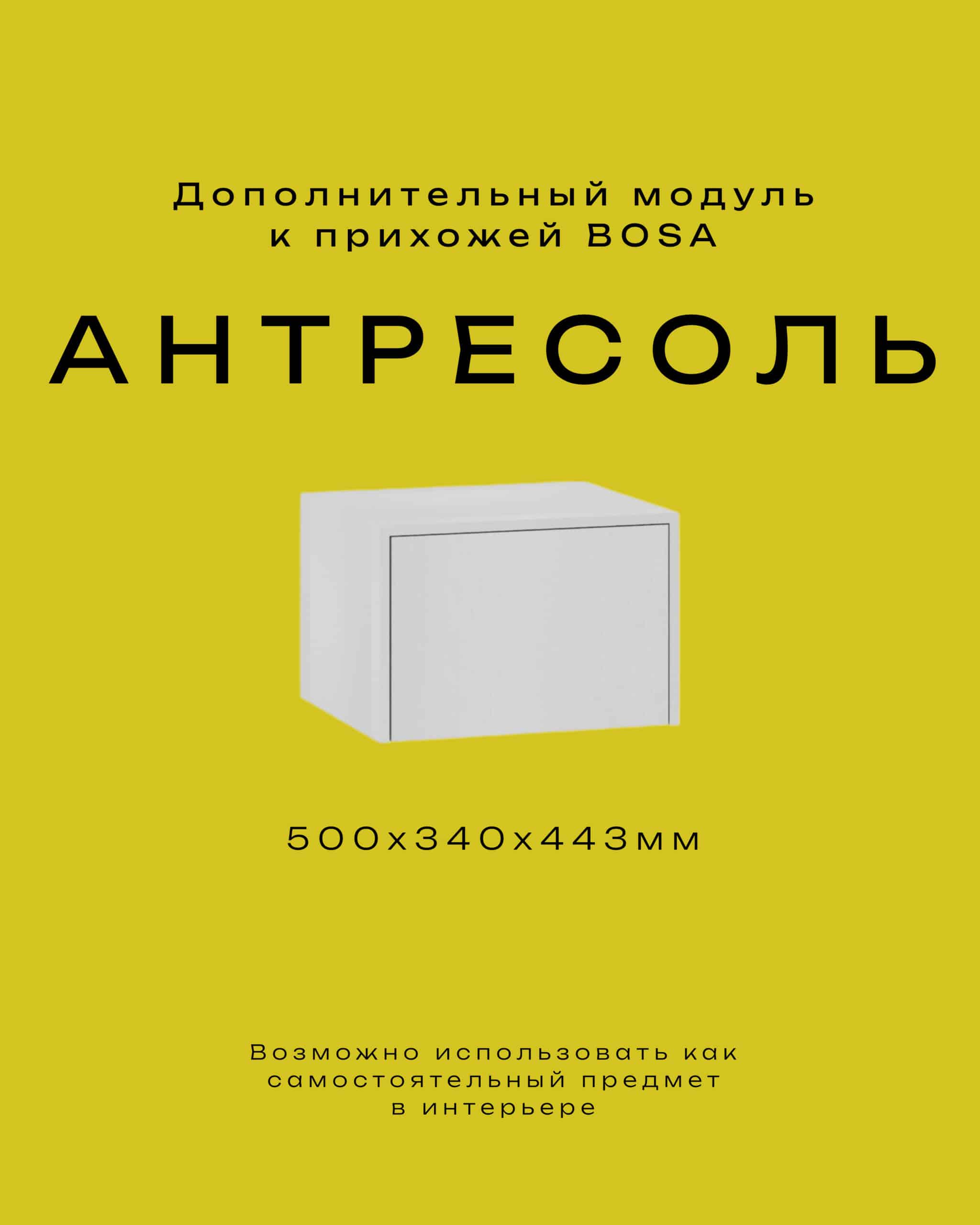 ан500